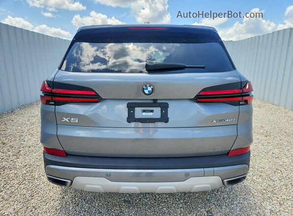 5UX23EU01S9Z42899 2025 BMW X5 Silver Հետևի տեսք