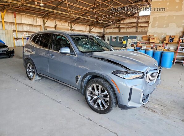 5UX23EU08R9T29222 2024 BMW X5 Gray Передня права чверть
