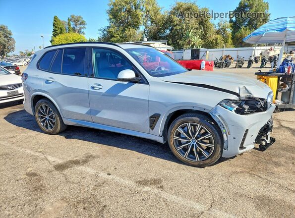 5UX43EU05R9S23870 2024 BMW X5 Gray Przód prawy