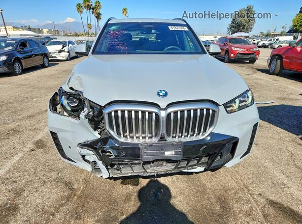 5UX43EU05R9S23870 2024 BMW X5 Gray Widok z przodu