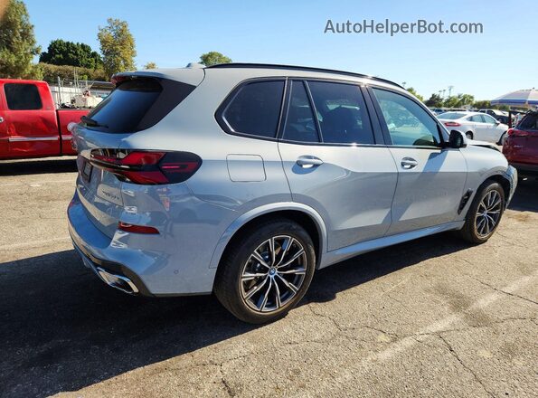 5UX43EU05R9S23870 2024 BMW X5 Gray Tył prawy