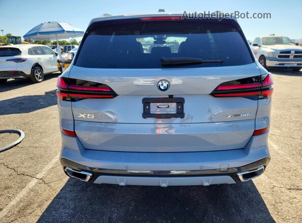 5UX43EU05R9S23870 2024 BMW X5 Gray Widok z tyłu