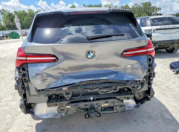 5UX53GP06S9104260 2025 BMW X3 Gray Widok z tyłu