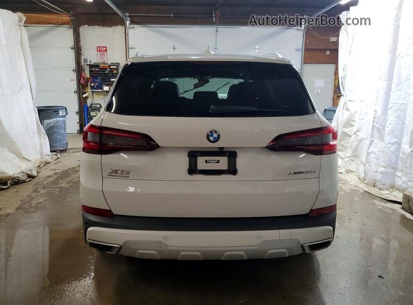 5UXCR6C02P9R68865 2023 BMW X5 Белый Вид сзади