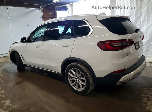 5UXCR6C02P9R68865 2023 BMW X5 Белый Задняя левая четверть