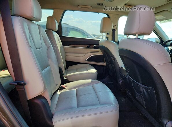 5XYP34HC6LG082116 2020 KIA TELLURIDE Brown Սալոնի հետևի տեսք