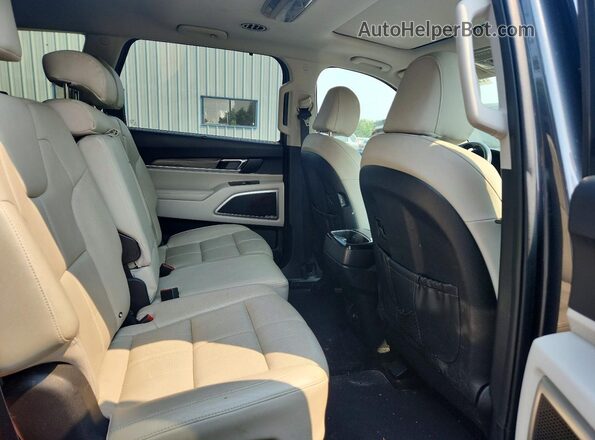 5XYP34HC9LG002033 2020 KIA TELLURIDE Gray უკანა სავარძლების ხედი