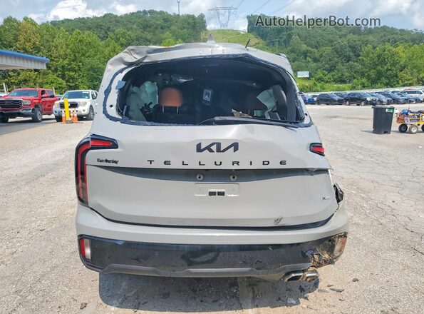 5XYP3DGC5SG603228 2025 KIA TELLURIDE Gray Widok z tyłu