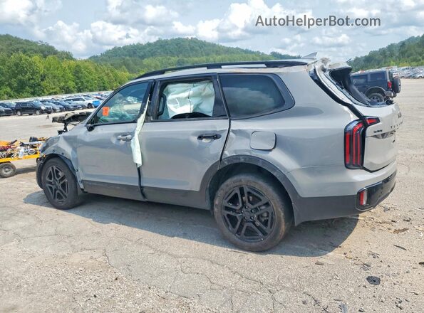 5XYP3DGC5SG603228 2025 KIA TELLURIDE Gray Tył lewy