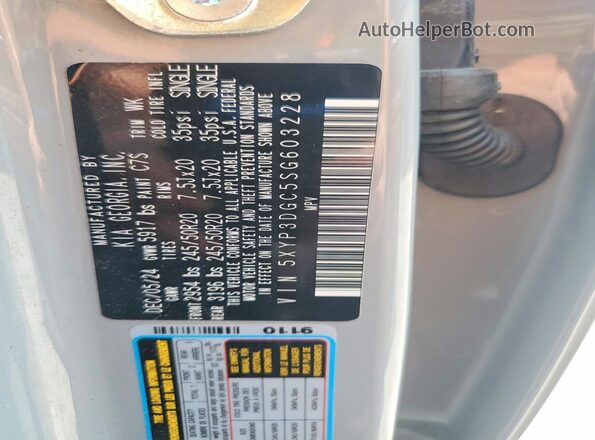5XYP3DGC5SG603228 2025 KIA TELLURIDE Gray Widok komory silnika