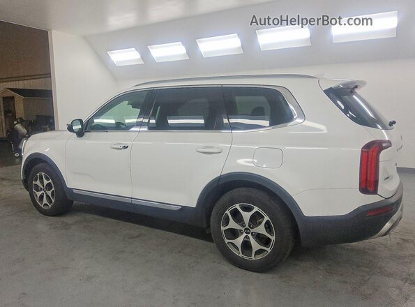 5XYP3DHC9LG011623 2020 KIA TELLURIDE White უკანა მარცხენა