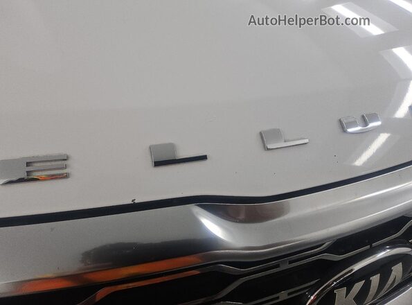 5XYP3DHC9LG011623 2020 KIA TELLURIDE White 