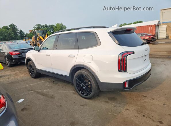 5XYP5DGC5RG463086 2024 KIA TELLURIDE White Rear left