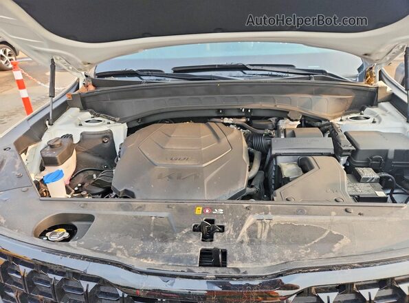 5XYP5DGC5RG463086 2024 KIA TELLURIDE White Rear interior view