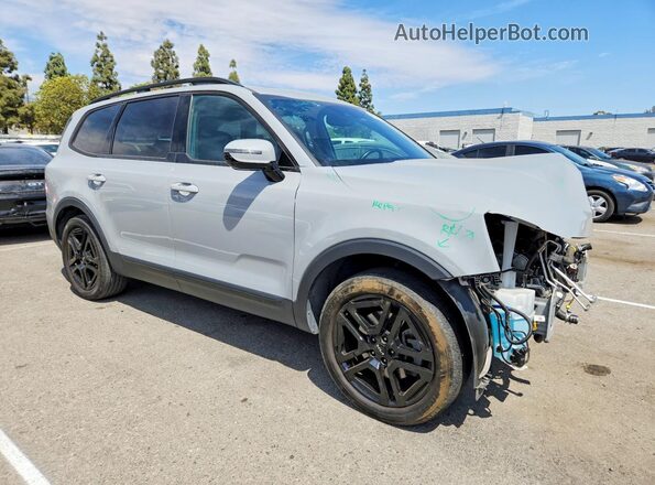 5XYP5DGC5RG504087 2024 KIA TELLURIDE Gray Передня права чверть