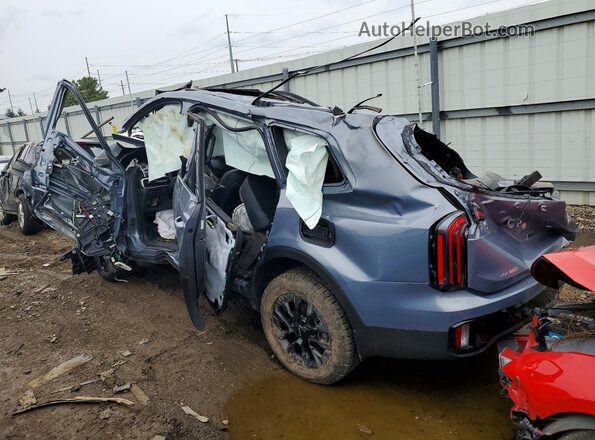 5XYP5DGC6RG449987 2024 KIA TELLURIDE Blue უკანა მარცხენა