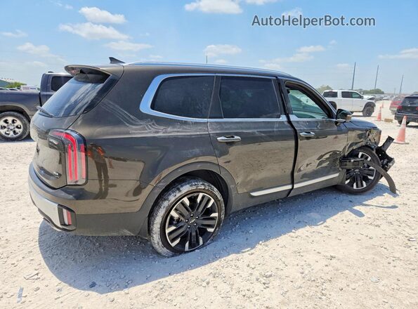 5XYP5DGC8RG539609 2024 KIA TELLURIDE Brown Задня права чверть