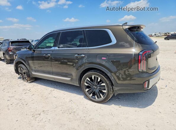 5XYP5DGC8RG539609 2024 KIA TELLURIDE Brown Задня ліва чверть