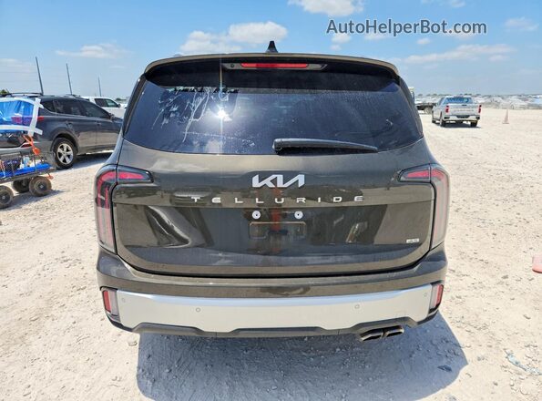 5XYP5DGC8RG539609 2024 KIA TELLURIDE Brown Вид ззаду