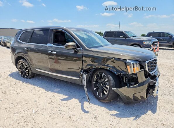 5XYP5DGC8RG539609 2024 KIA TELLURIDE Brown Передня права чверть