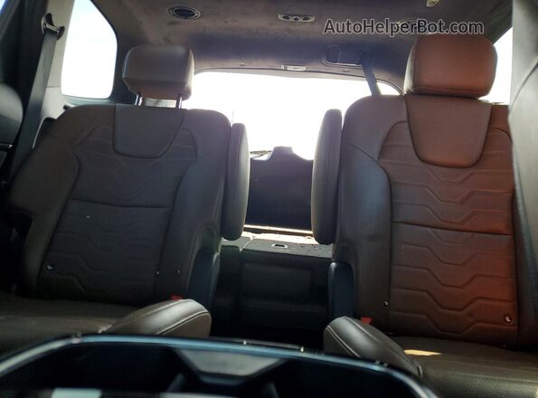 5XYP5DHC6LG075113 2020 KIA TELLURIDE Brown Rear seats view