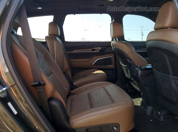 5XYP5DHC6LG075113 2020 KIA TELLURIDE Brown Rear interior view