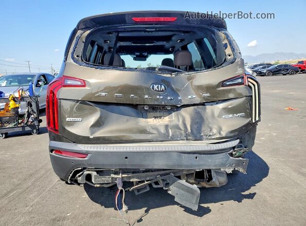5XYP5DHC6LG075113 2020 KIA TELLURIDE Brown Rear view