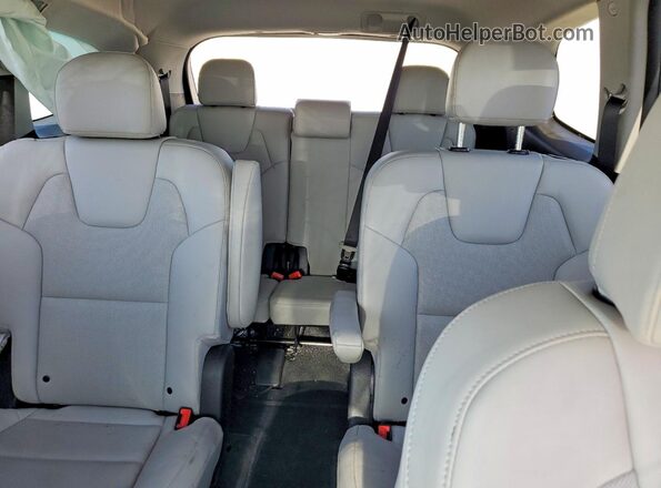 5XYP64GC0SG674246 2025 KIA TELLURIDE Black Вид задніх сидінь