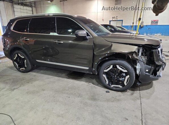 5XYP64GC8SG698486 2025 KIA TELLURIDE Tan 