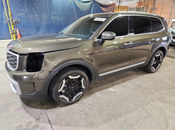 5XYP64GC8SG698486 2025 KIA TELLURIDE Tan 