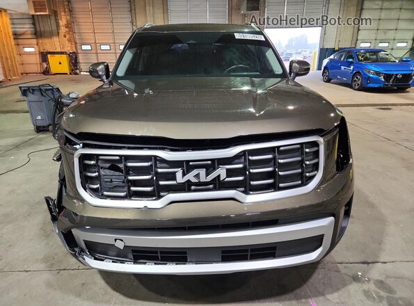 5XYP64GC8SG698486 2025 KIA TELLURIDE Tan 