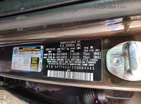5XYP6DGC2SG689945 2025 KIA TELLURIDE Green Панорамний вид салону 360°