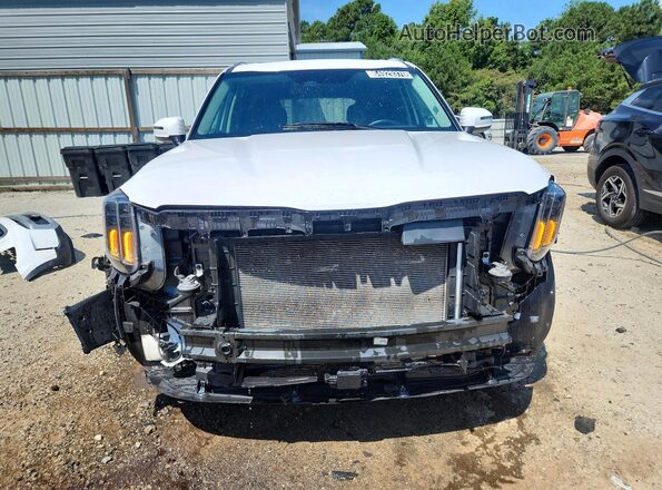 5XYP6DGC8SG589350 2025 KIA TELLURIDE Белый Вид спереди