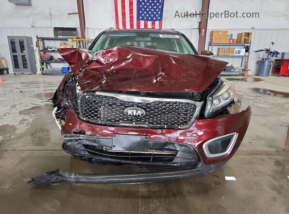 5XYPGDA5XHG313686 2017 KIA SORENTO Burgundy Вид спереду