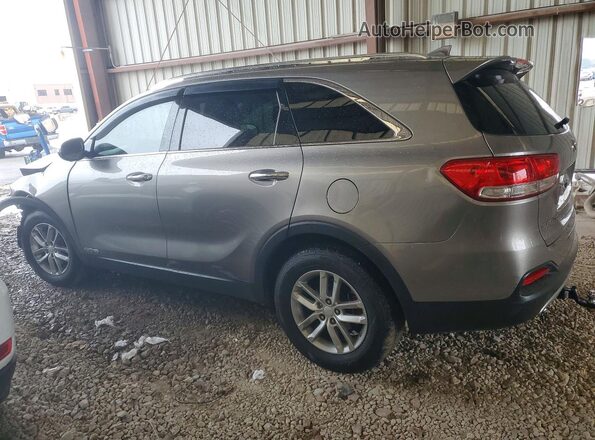 5XYPHDA52HG313453 2017 KIA SORENTO Gray Tył lewy