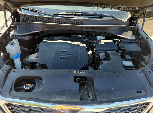 5XYPHDA54LG666429 2020 KIA SORENTO Black Widok naklejki z numerem VIN