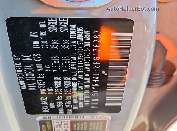 5XYRH4LF8PG176287 2023 KIA SORENTO Серый Вид наклейки с VIN-кодом