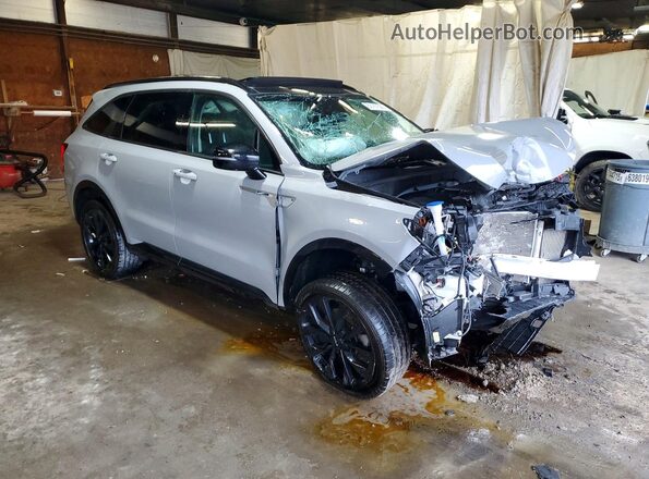 5XYRKDLF4PG225261 2023 KIA SORENTO Gray Front right