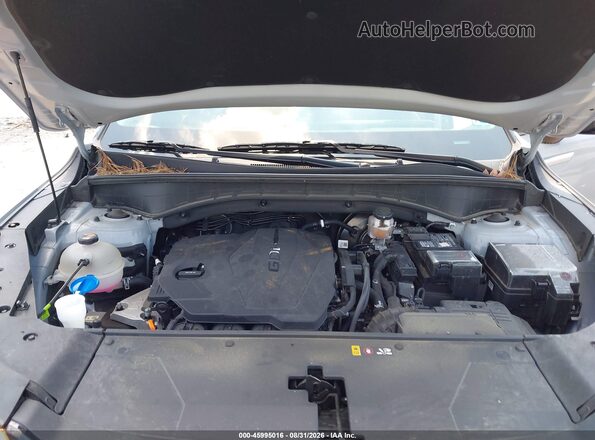 5XYRL4JC3RG293768 2024 KIA SORENTO Серый Вид сзади