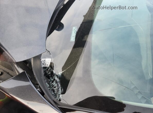 5XYRLDJC7RG261356 2024 KIA SORENTO Gray 360 interior view