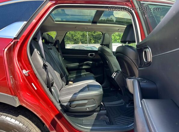 5XYRLDJC7RG274608 2024 KIA SORENTO Red Вид ззаду