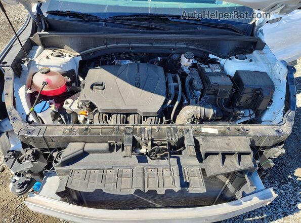 5XYRLDJC7RG293322 2024 KIA SORENTO White Widok komory silnika