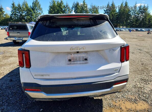 5XYRLDJC7RG293322 2024 KIA SORENTO White Widok z tyłu