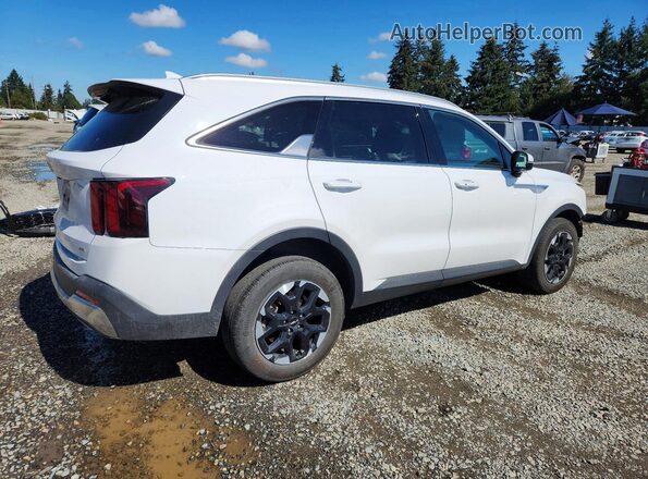 5XYRLDJC7RG293322 2024 KIA SORENTO White Tył prawy