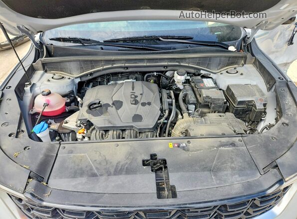 5XYRLDJC7SG321612 2025 KIA SORENTO Серый Вид задней части салона