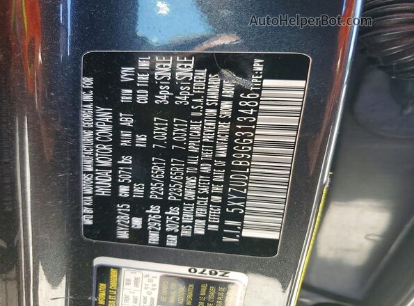 5XYZUDLB9GG313486 2016 HYUNDAI SANTA Black Вид наклейки з VIN-кодом