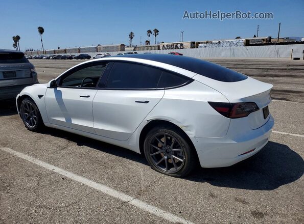 5YJ3E1EA2PF553699 2023 TESLA MODEL White Tył lewy
