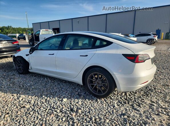 5YJ3E1EA3MF047522 2021 TESLA MODEL White Tył lewy