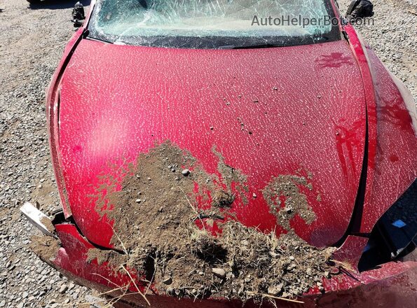 5YJ3E1EB2RF811988 2024 TESLA MODEL Red Սալոնի հետևի տեսք