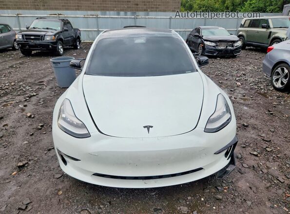 5YJ3E1EB4MF858593 2021 TESLA MODEL Белый Вид спереди